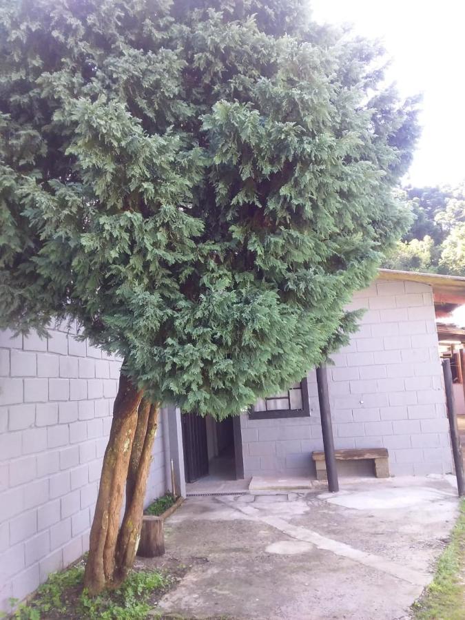 Kitnet Recanto De Campos-Pertinho Do Centro Villa Campos do Jordao Dış mekan fotoğraf